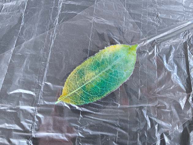 1765159799420212.jpg IMG20251205113758.jpg